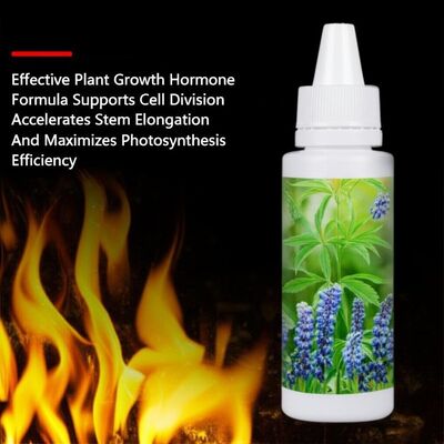 Effective Plant Growth Hormone Formula Supports Cell Division Accelerates Stem Elongation And Maximizes Photosynthesis Efficiency