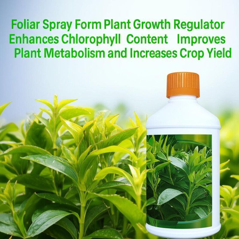 Foliar Spray Form Plant Growth Regulator Enhances Chlorophyll Content Improves Plant Metabolism and Increases Crop Yield